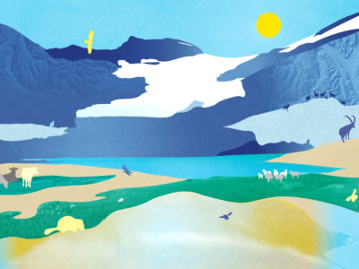 Illustration de la biodiversité