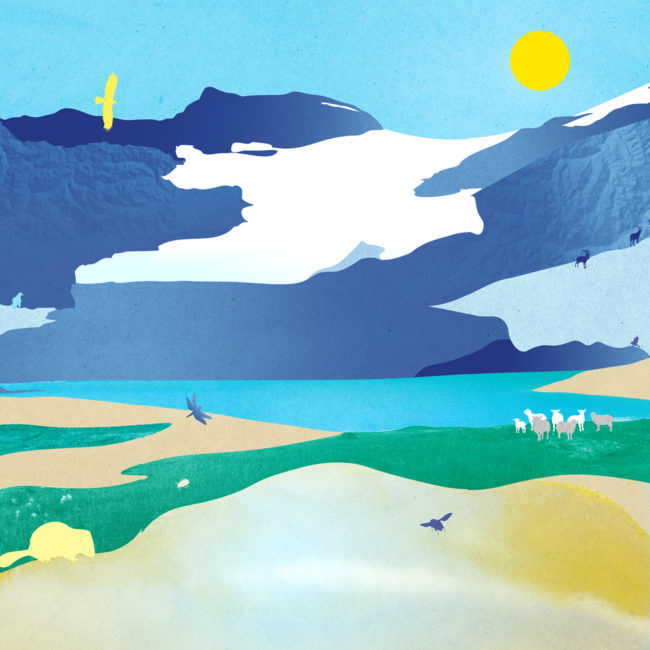 Illustration de la biodiversité