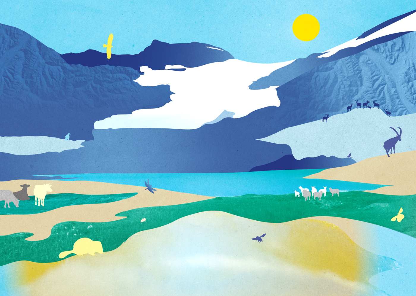 Illustration de la biodiversité